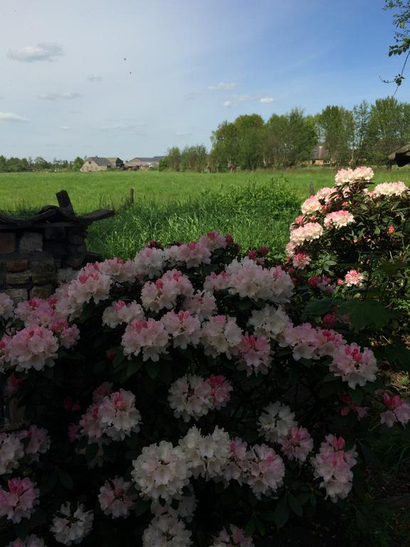 B&B De Lotus Hoevelaken Bagian luar foto
